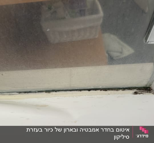 אזור עם עובש ליד מסגרת חלון